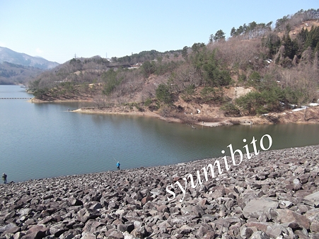 前川ダム 2012.4.15