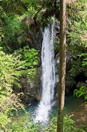 大下滝　2012.5.7-4