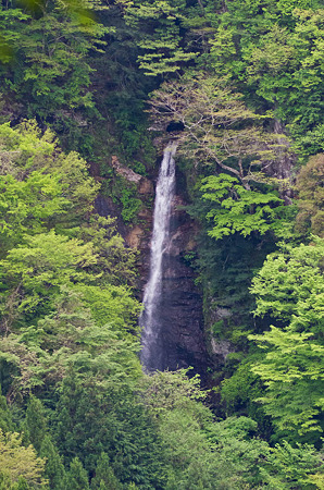 明神滝　2012.5.7