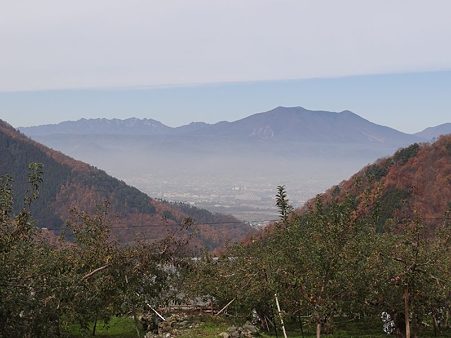 DSC03010_R