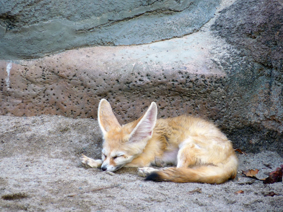 2011101908
