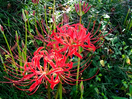 R0015847