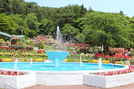 花巻温泉バラ園・5