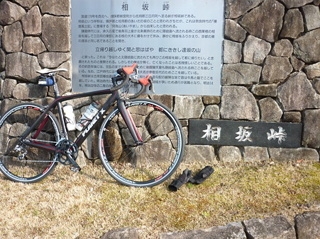 P1010781