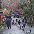 毎週石段ホトケチックJAPAN