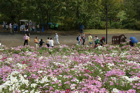 DSC03585