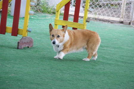DSC05189
