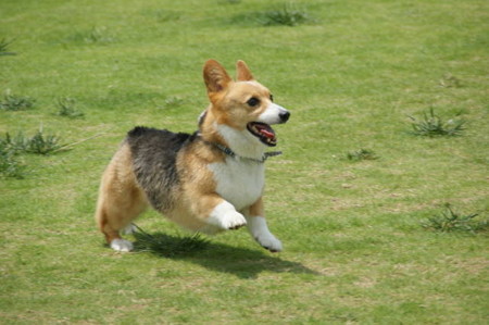 DSC06354