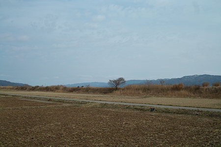 Field03042012dp2