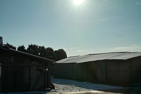Sun03142012dp2