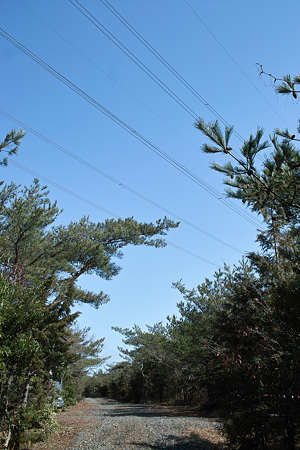 Sky03142012dp2