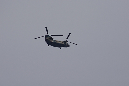 IMGP5543