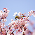 Photos: DSC09378