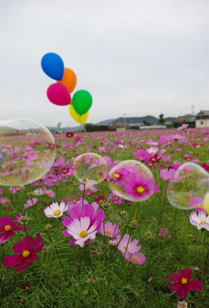 IMGP8904_1029