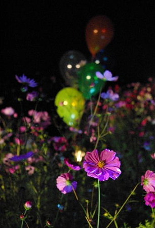 IMGP7594_1102