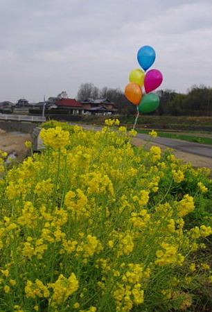 IMGP8641_0219a