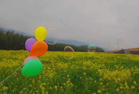 IMGP8534_0304
