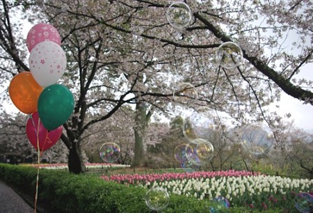 IMGP0390_0414