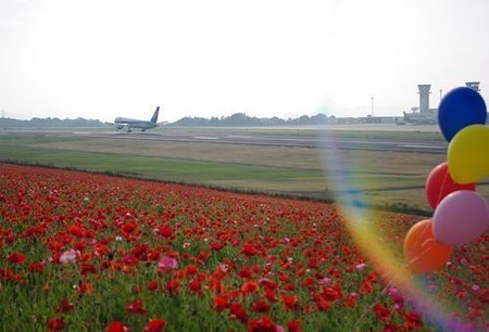 IMGP5126_0603