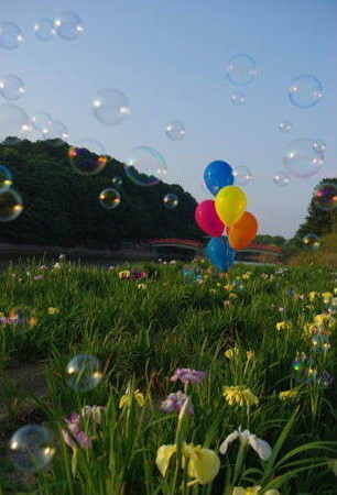 IMGP5247_0603