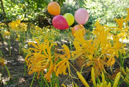 IMGP3968_0911