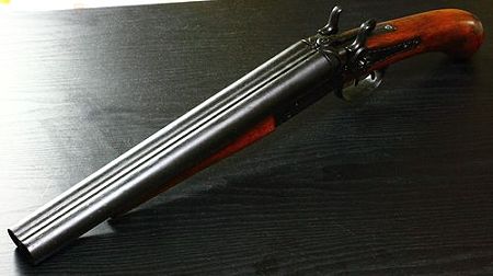ダブルバレルピストル (1)