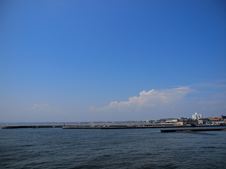 P8110279