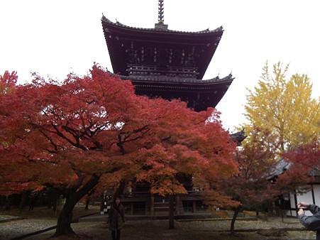 京都 413