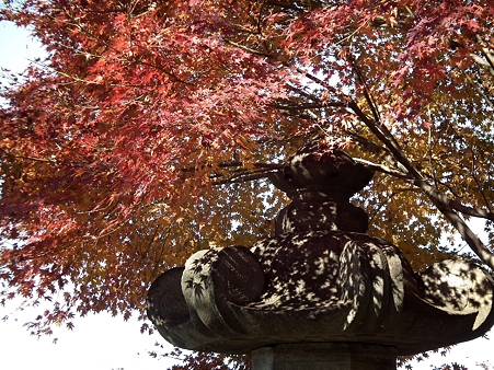 紅葉 047