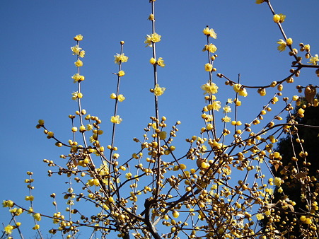 DSCF0037