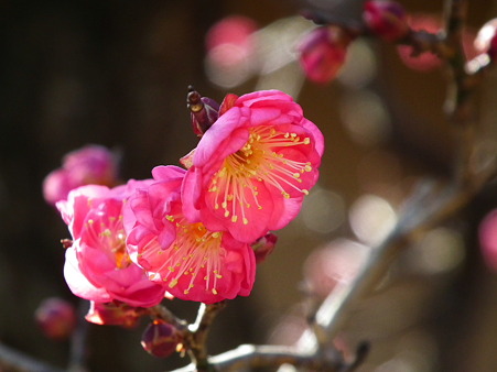 5航空公園1・9