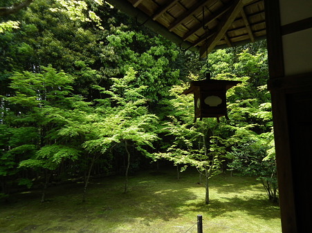 7高桐院