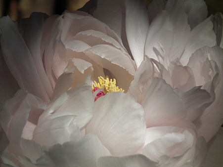 DSCF0293