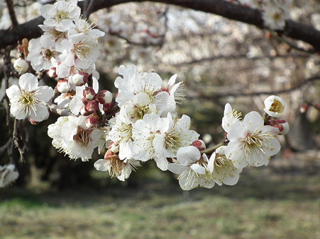 DSCF0164
