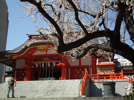DSCF0056