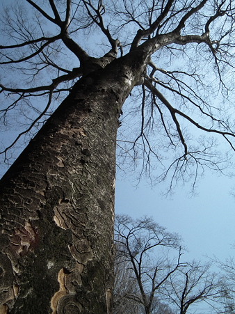 DSCF0044