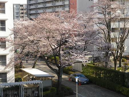 IMGP0019