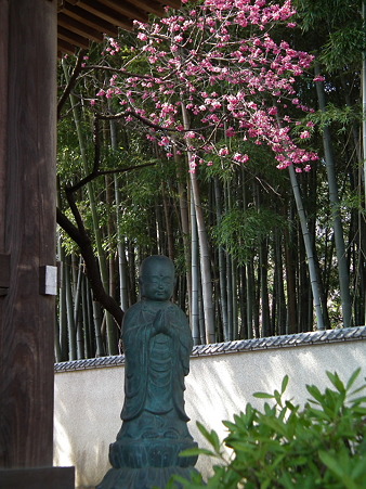 DSCF0278