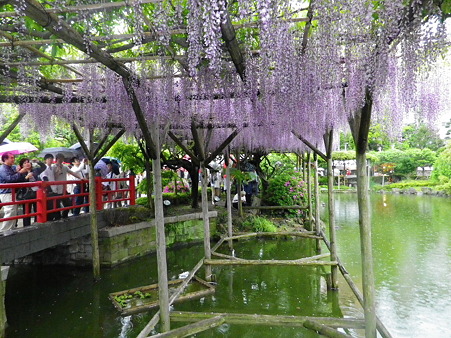 IMGP0028