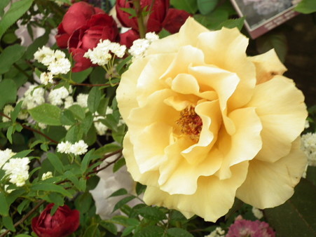 DSCF1082