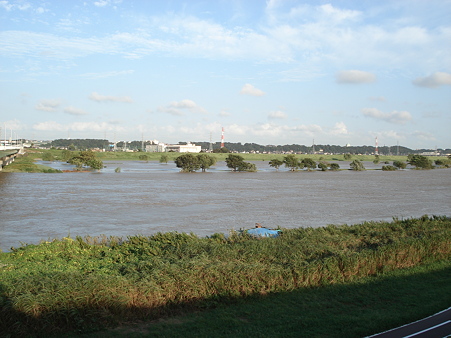 台風後増水の江戸川