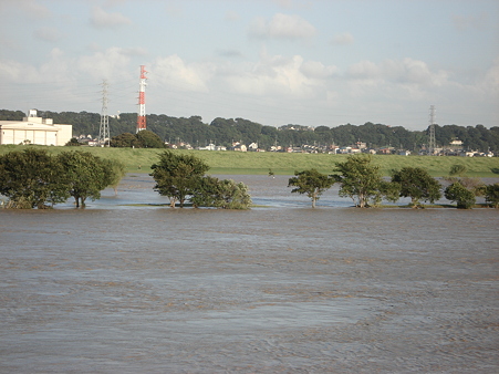 松戸河川敷ゴルフ場水没