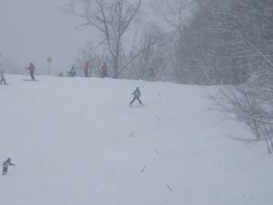 IMGP2572_R
