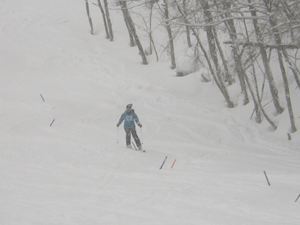 IMGP2573_R