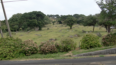 CIMG3661