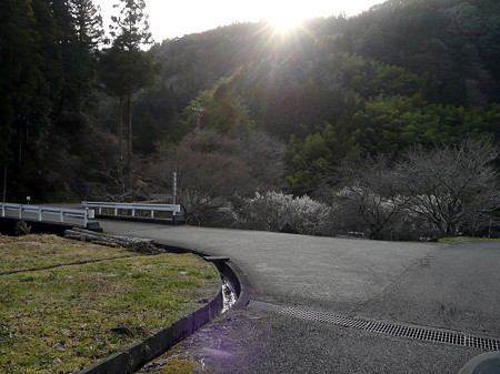 林道泉水大晦日線終点