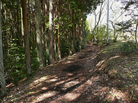 明星山山頂へ続く道