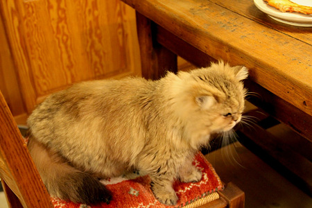 20120326_3884