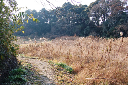 2012年01月09日_DSC_0401