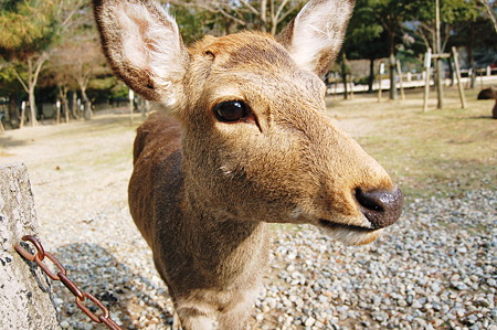 2012年01月09日_DSC_0522